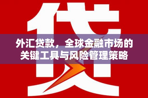 汉川外汇贷款，全球金融市场的关键工具与风险管理策略