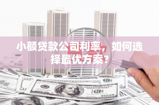 汉川小额贷款公司利率，如何选择最优方案？