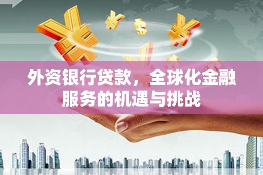 汉川外资银行贷款，全球化金融服务的机遇与挑战