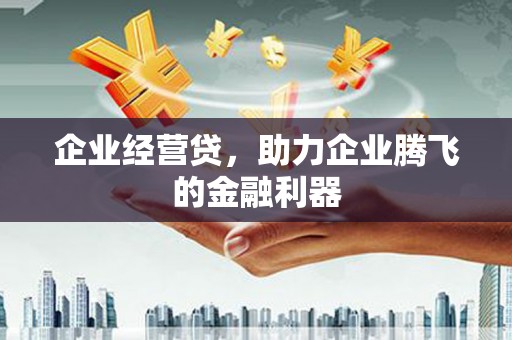 汉川企业经营贷，助力企业腾飞的金融利器