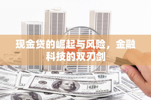 汉川现金贷的崛起与风险，金融科技的双刃剑