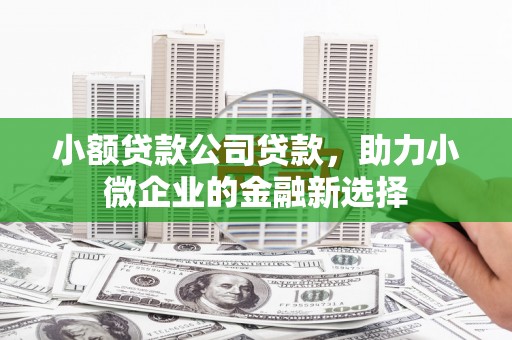 汉川小额贷款公司贷款，助力小微企业的金融新选择