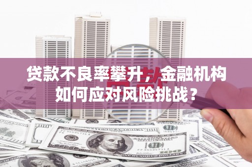 汉川贷款不良率攀升，金融机构如何应对风险挑战？
