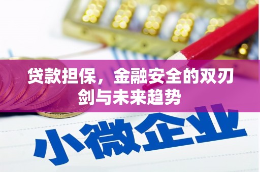 汉川贷款担保，金融安全的双刃剑与未来趋势