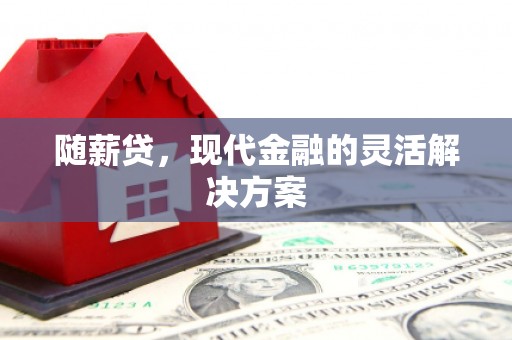 汉川随薪贷，现代金融的灵活解决方案