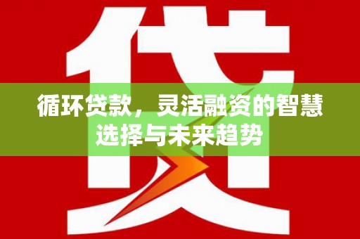 汉川循环贷款，灵活融资的智慧选择与未来趋势