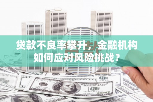 汉川贷款不良率攀升，金融机构如何应对风险挑战？