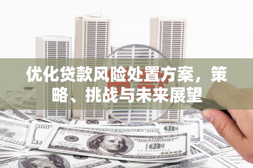 汉川优化贷款风险处置方案，策略、挑战与未来展望