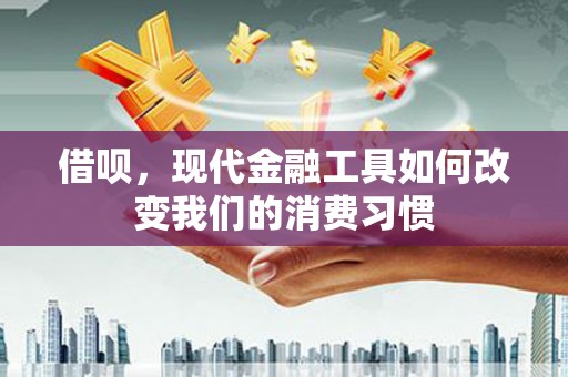 汉川借呗，现代金融工具如何改变我们的消费习惯