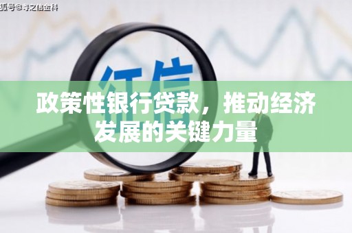 汉川政策性银行贷款，推动经济发展的关键力量