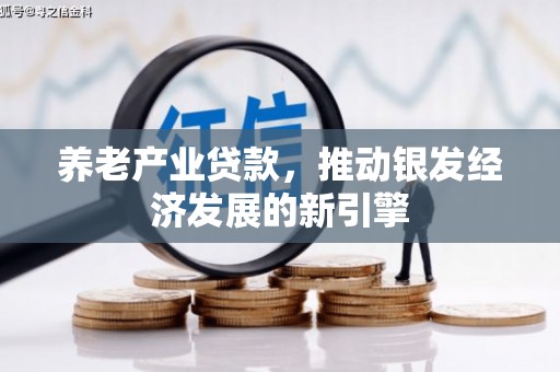 汉川养老产业贷款，推动银发经济发展的新引擎