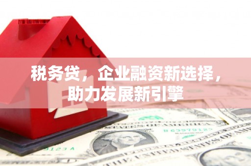 汉川税务贷，企业融资新选择，助力发展新引擎