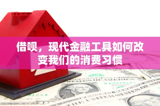 汉川借呗，现代金融工具如何改变我们的消费习惯