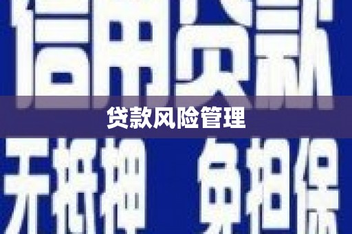 汉川贷款风险管理
