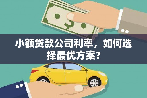 汉川小额贷款公司利率，如何选择最优方案？