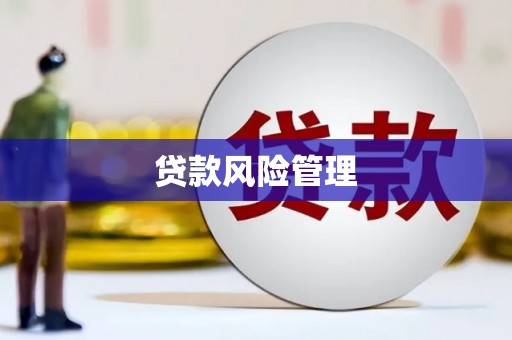 汉川贷款风险管理