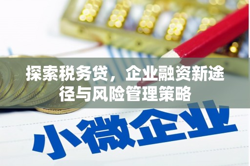 汉川探索税务贷，企业融资新途径与风险管理策略