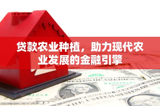 汉川贷款农业种植，助力现代农业发展的金融引擎