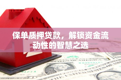 汉川保单质押贷款，解锁资金流动性的智慧之选