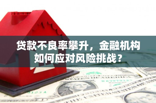 汉川贷款不良率攀升，金融机构如何应对风险挑战？