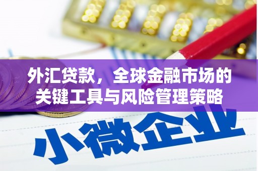 汉川外汇贷款，全球金融市场的关键工具与风险管理策略
