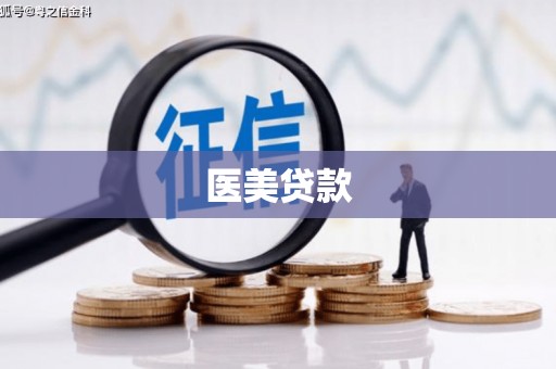汉川医美贷款