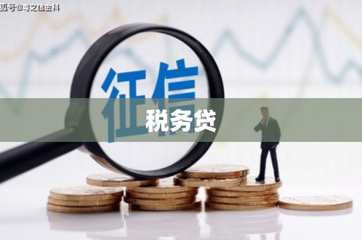 汉川税务贷
