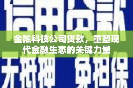 汉川金融科技公司贷款，重塑现代金融生态的关键力量