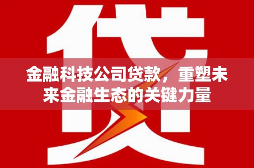 汉川金融科技公司贷款，重塑未来金融生态的关键力量