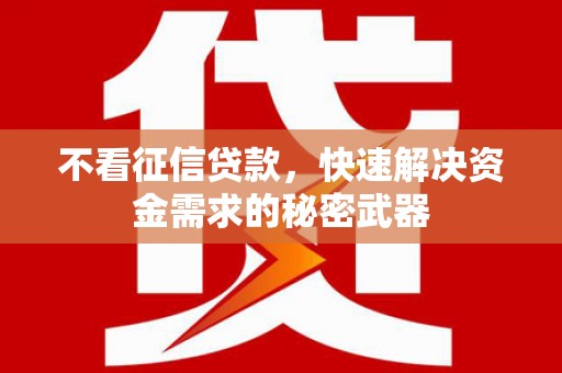 汉川不看征信贷款，快速解决资金需求的秘密武器