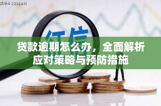 汉川贷款逾期怎么办，全面解析应对策略与预防措施