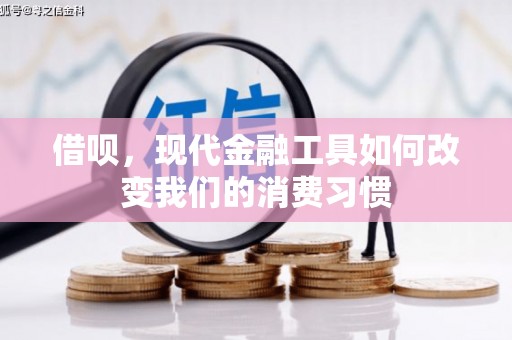 汉川借呗，现代金融工具如何改变我们的消费习惯