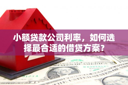 汉川小额贷款公司利率，如何选择最合适的借贷方案？
