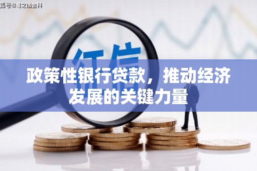 汉川政策性银行贷款，推动经济发展的关键力量