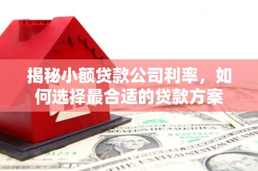 汉川揭秘小额贷款公司利率，如何选择最合适的贷款方案