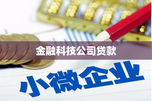 汉川金融科技公司贷款
