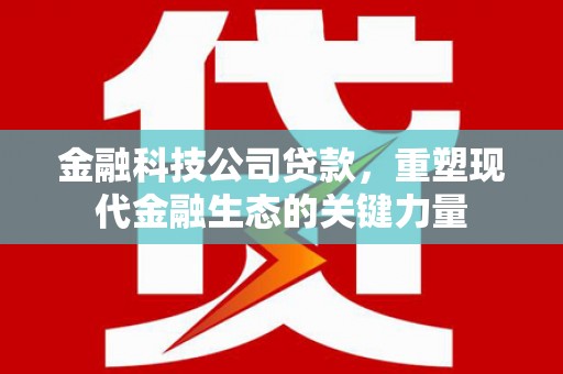 汉川金融科技公司贷款，重塑现代金融生态的关键力量