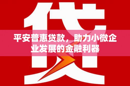 汉川平安普惠贷款，助力小微企业发展的金融利器