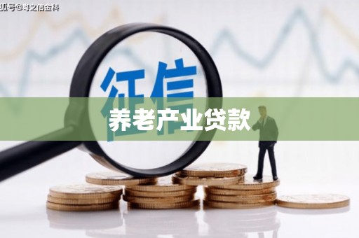 汉川养老产业贷款