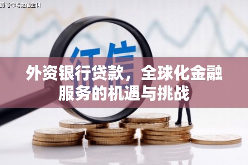 汉川外资银行贷款，全球化金融服务的机遇与挑战
