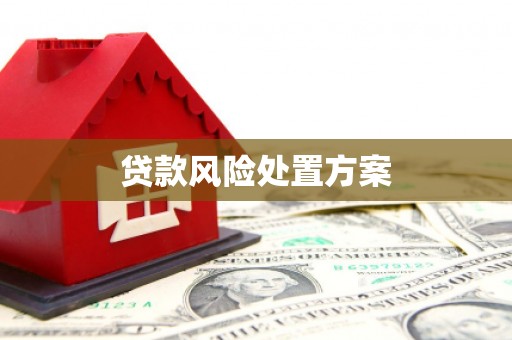 汉川贷款风险处置方案