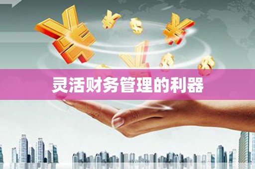 汉川灵活财务管理的利器