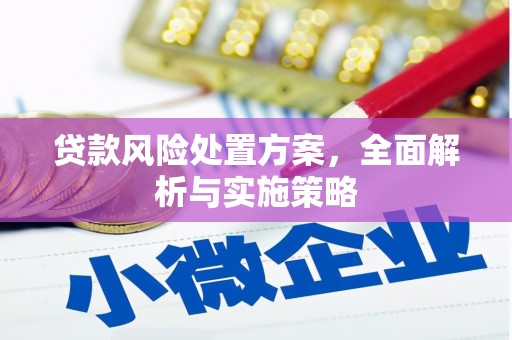 汉川贷款风险处置方案，全面解析与实施策略