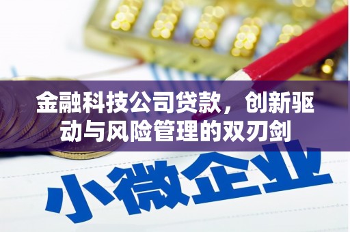 汉川金融科技公司贷款，创新驱动与风险管理的双刃剑